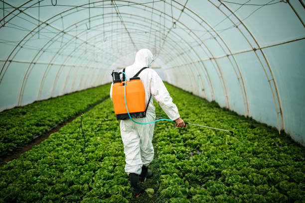 Best Mosquito Control Services  in West Kittanning, PA