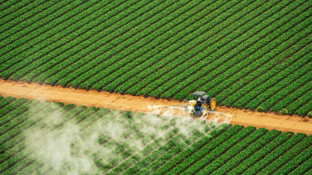 Best Commercial Pest Control Services  in West Kittanning, PA