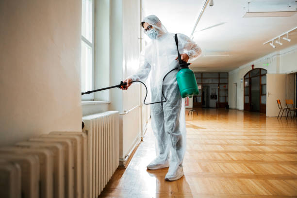 Flea Control Services in West Kittanning, PA